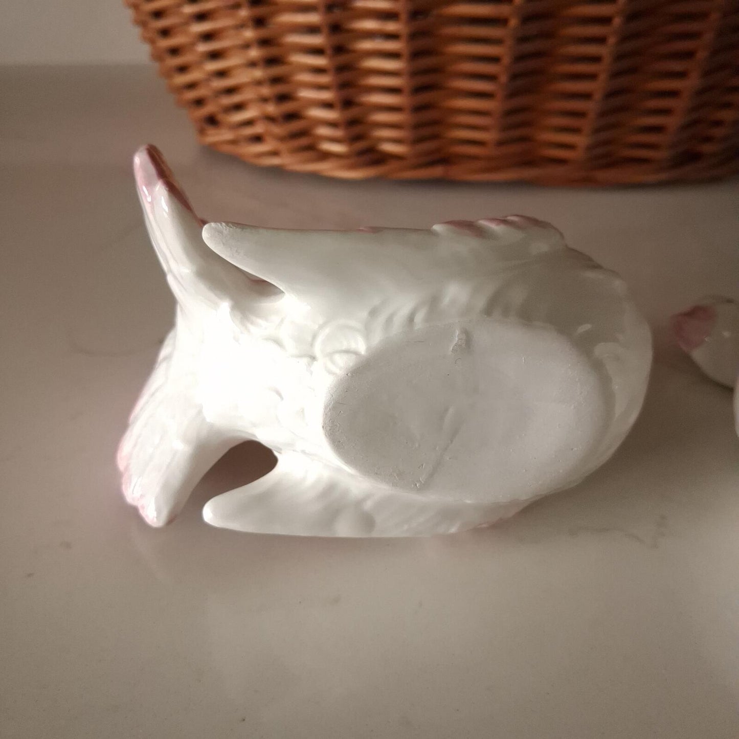 A pair of pink and white Doves