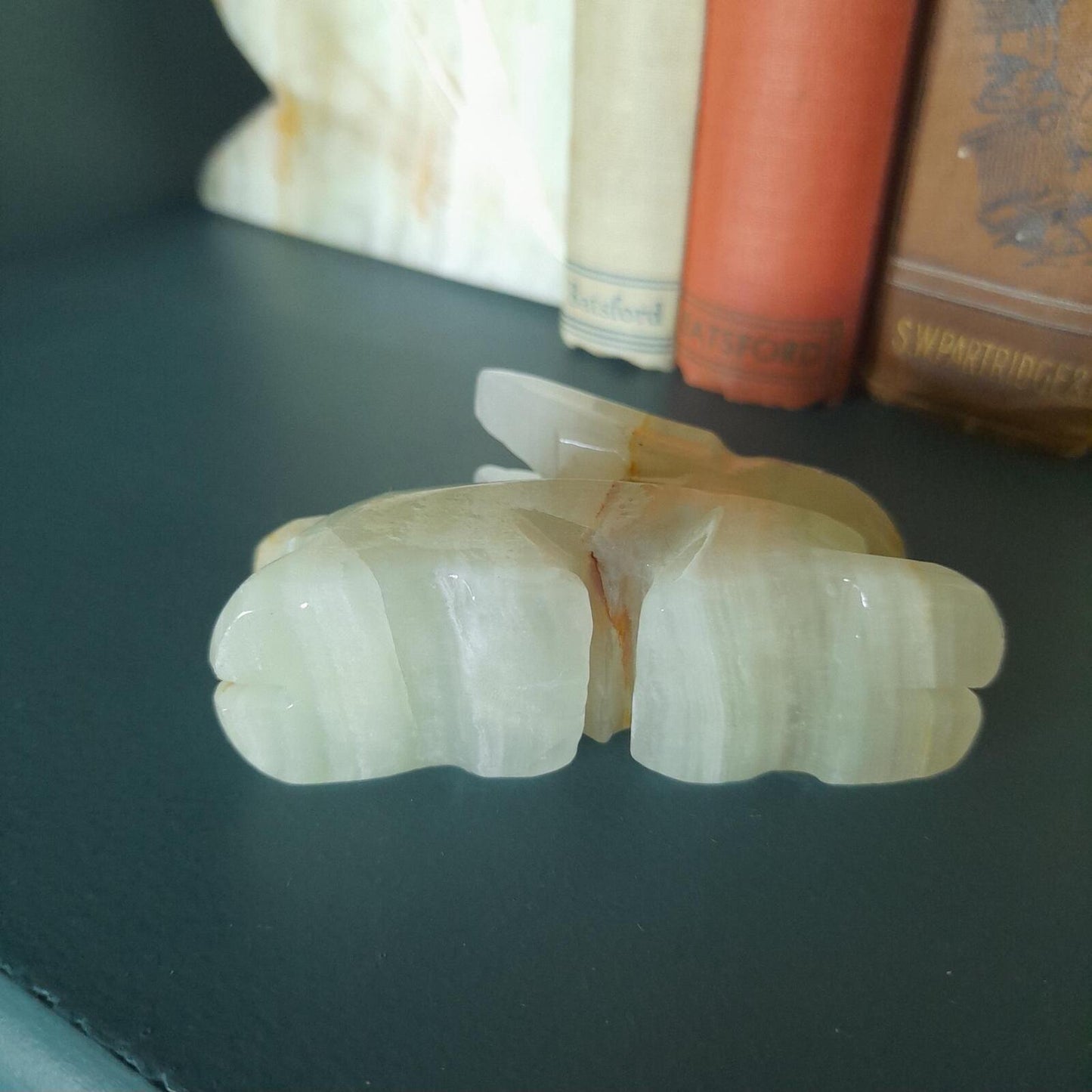 A small onyx rabbit