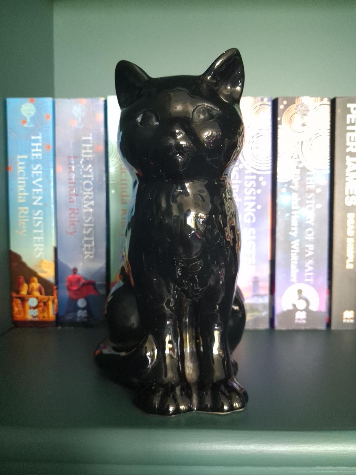 SylvaC 1087 7" Black cat