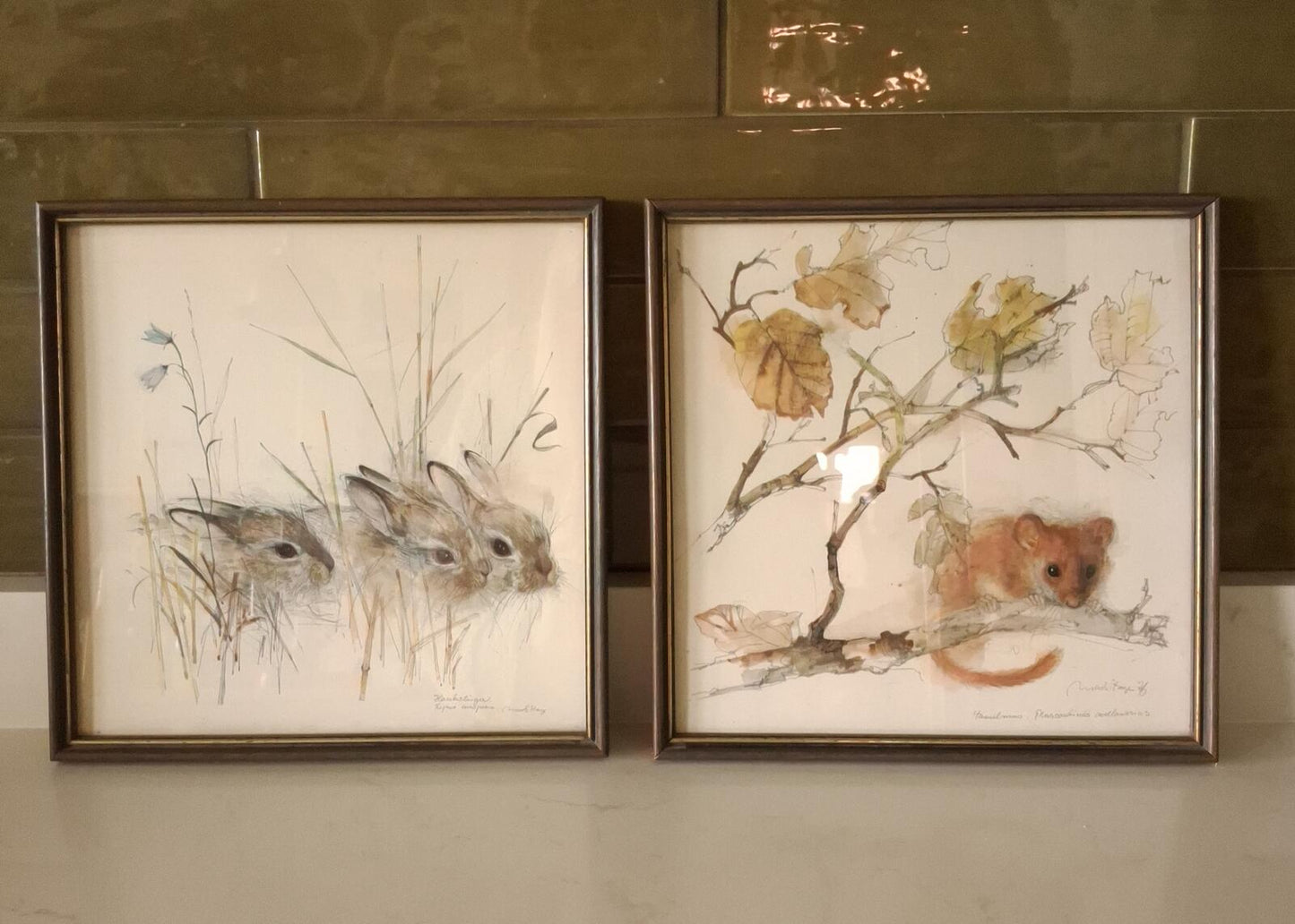 A pair of Mads Stage framed animal prints