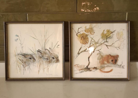 A pair of Mads Stage framed animal prints