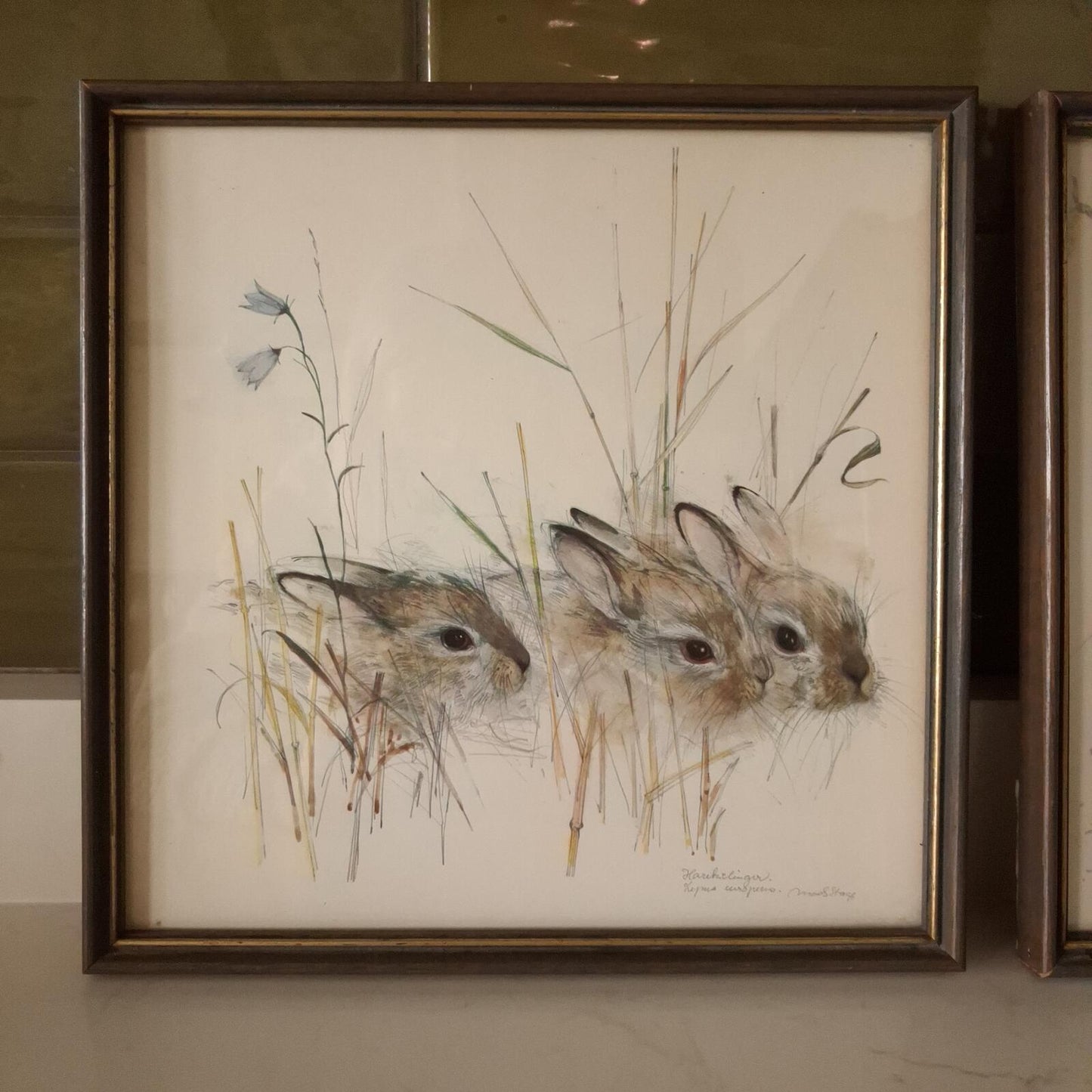 A pair of Mads Stage framed animal prints