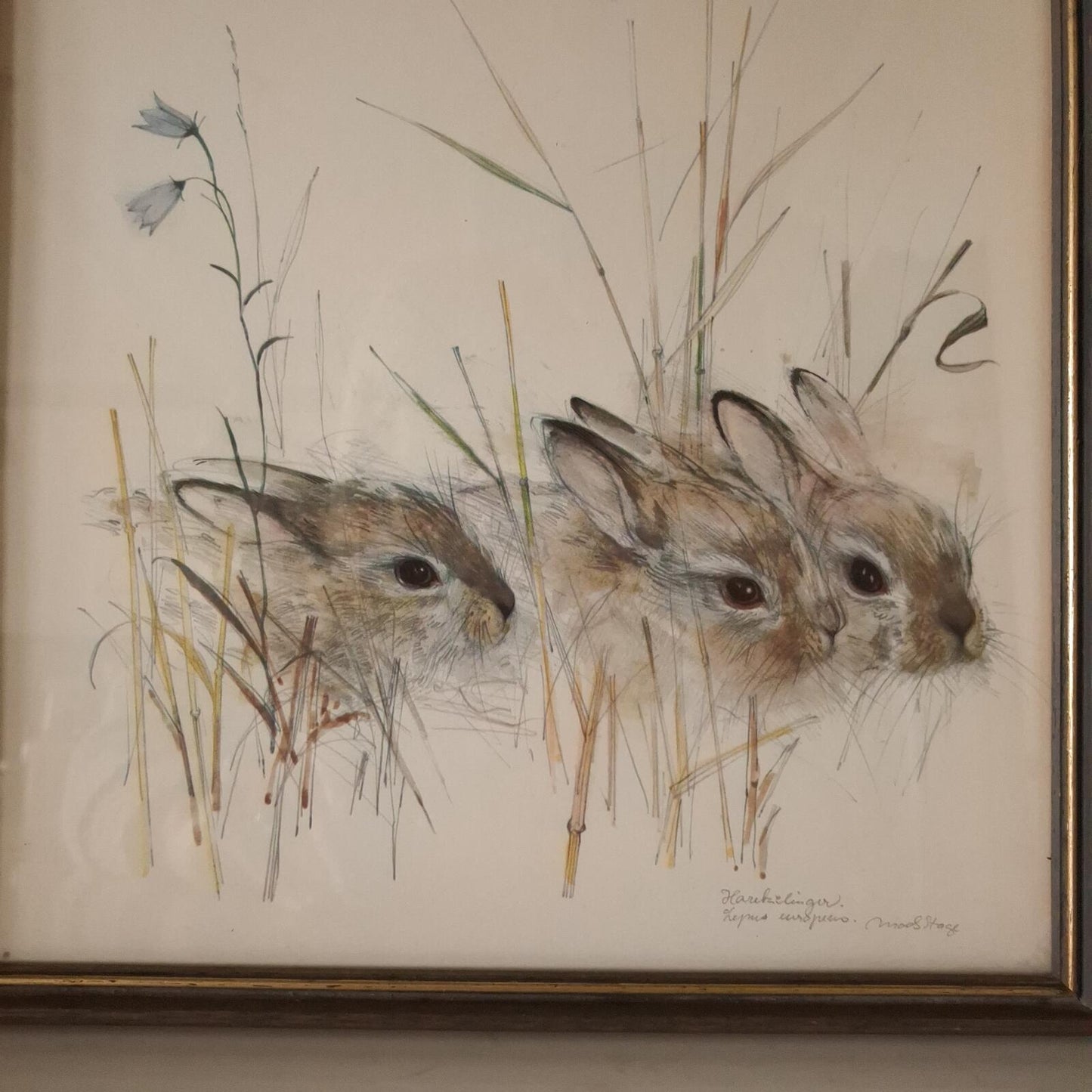 A pair of Mads Stage framed animal prints