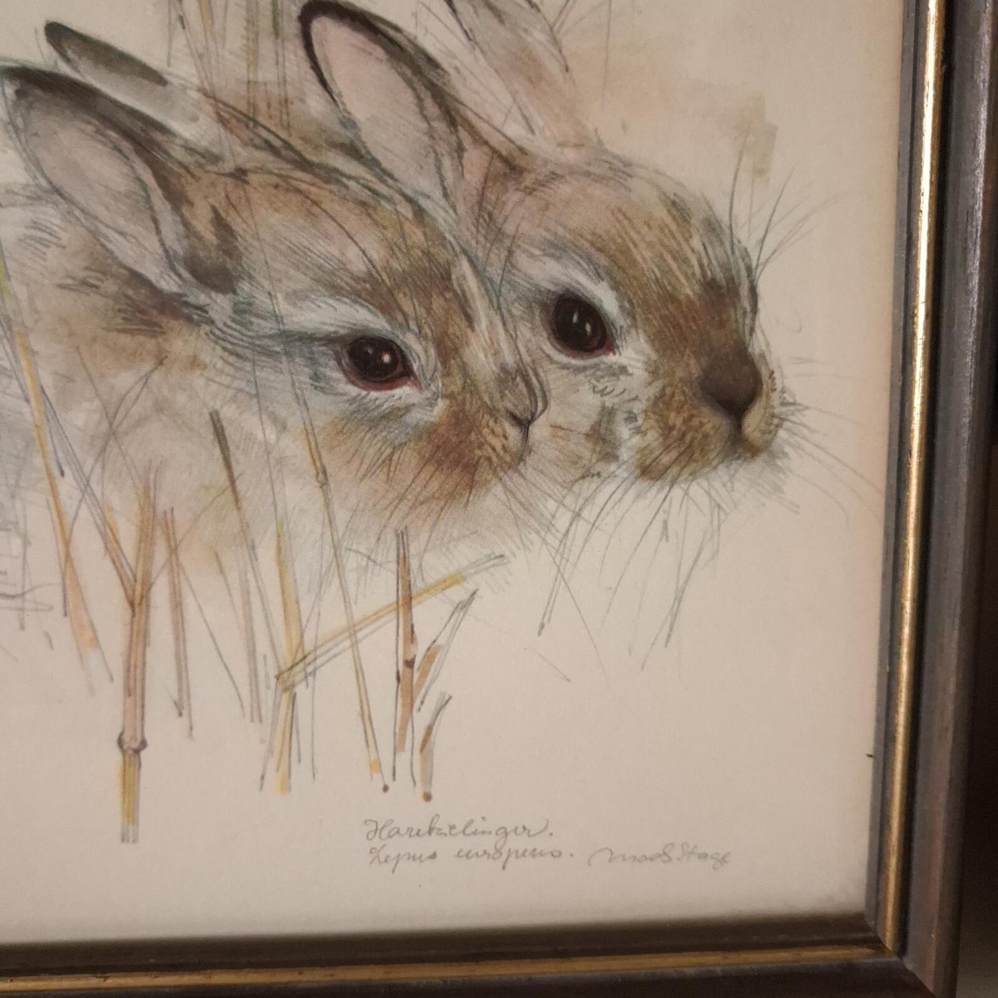 A pair of Mads Stage framed animal prints