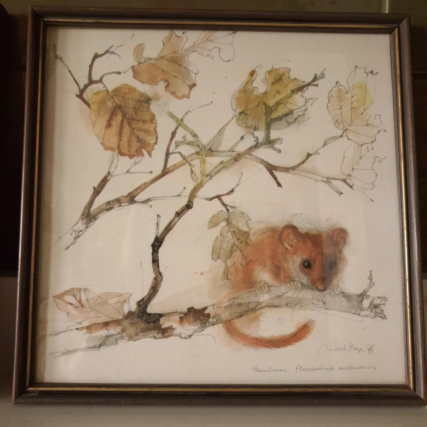 A pair of Mads Stage framed animal prints