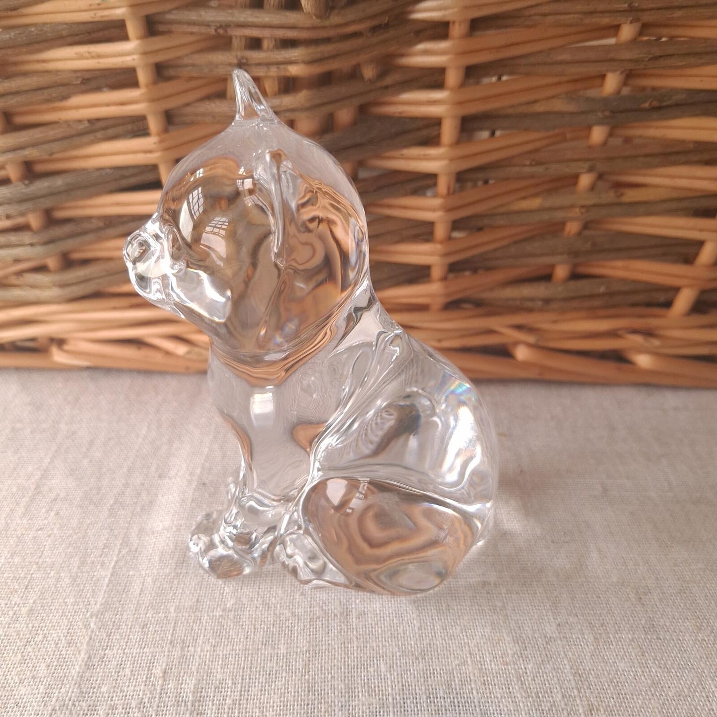 Nachmann crystal cat