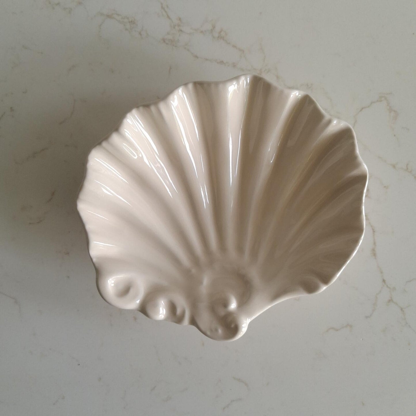 Small cream shell shaped dish