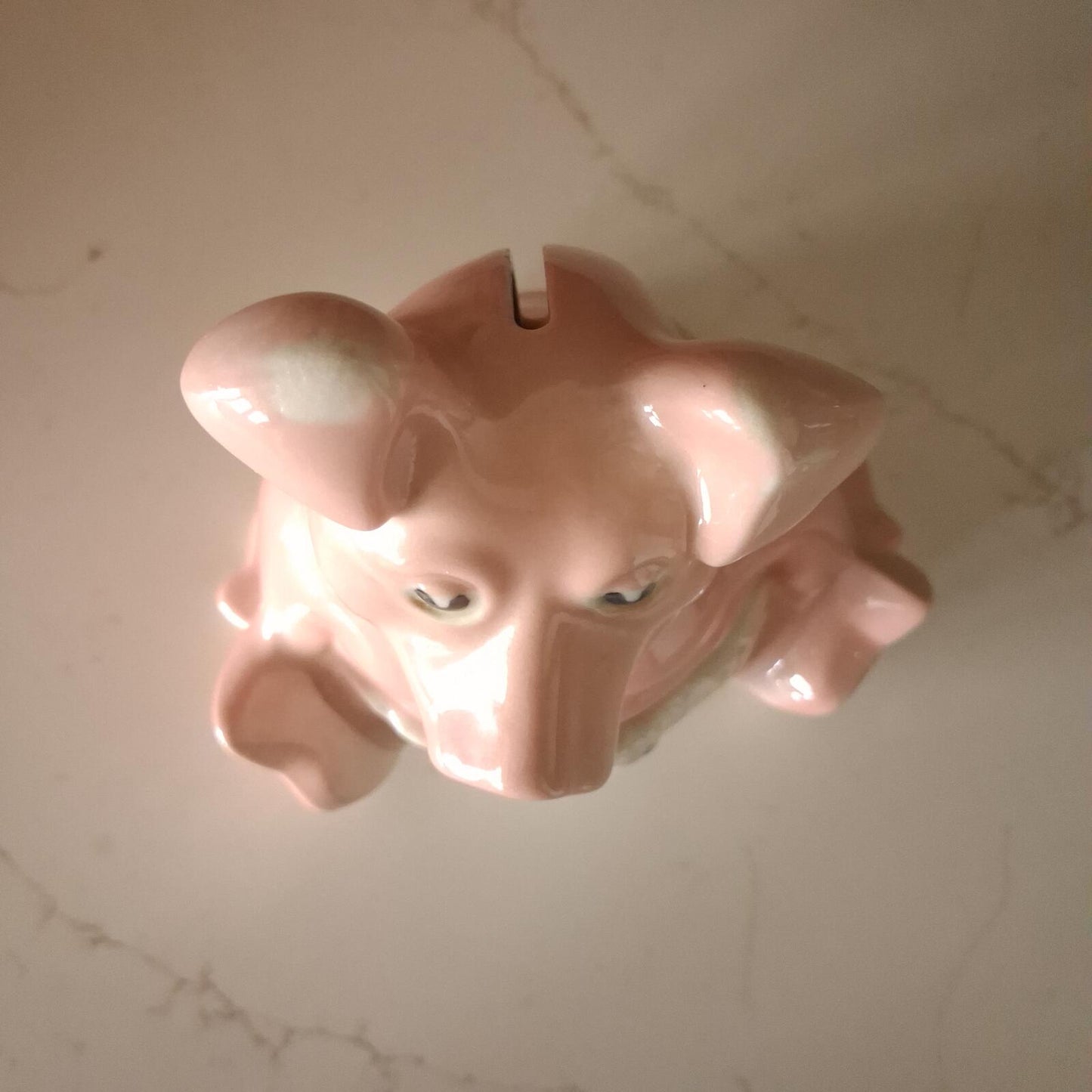 Woody baby pig Wade Natwest piggyback.