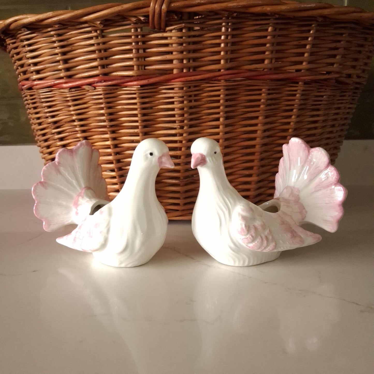 A pair of pink and white Doves