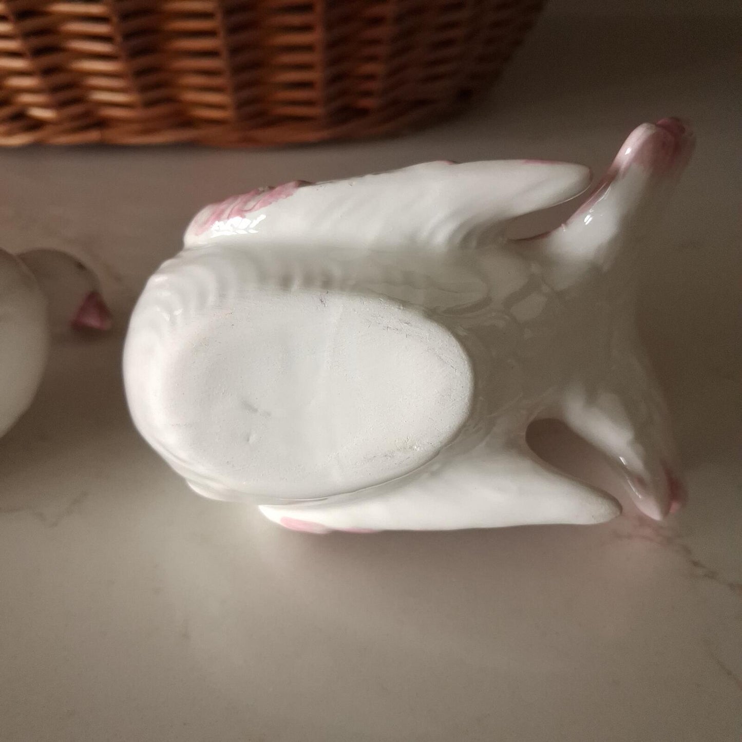 A pair of pink and white Doves