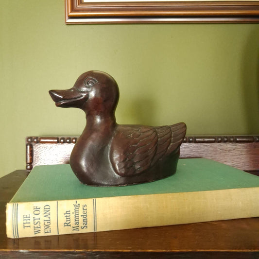 Little brown duck
