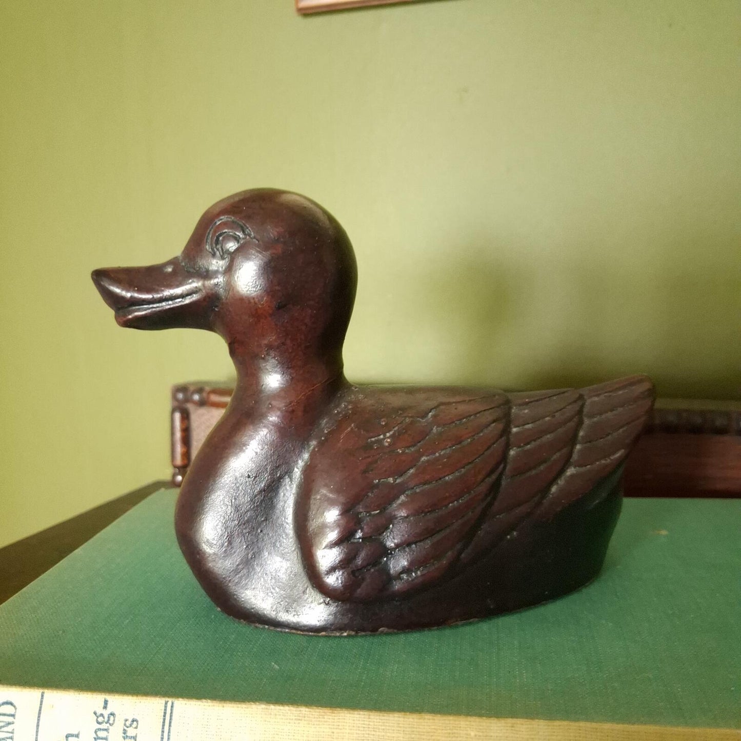 Little brown duck
