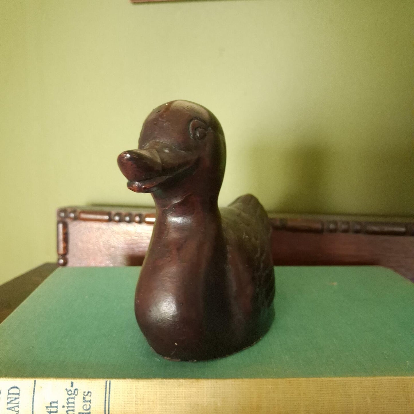 Little brown duck