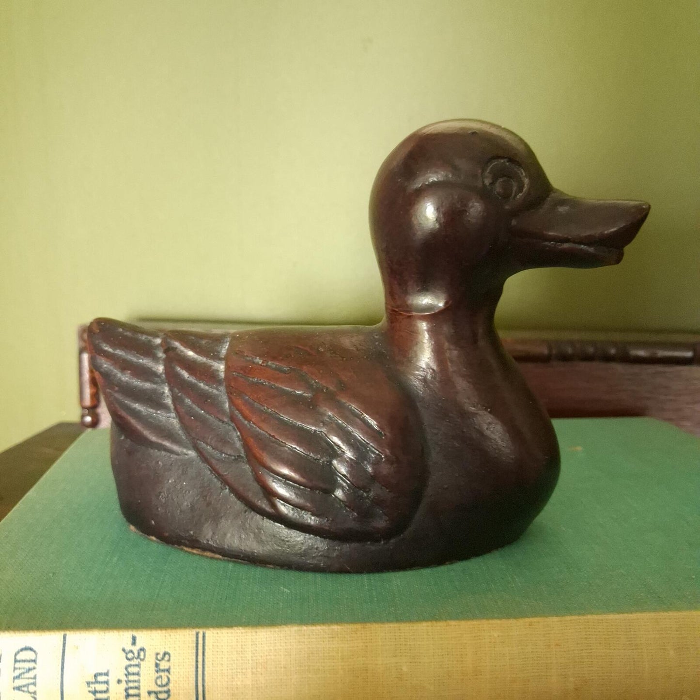 Little brown duck