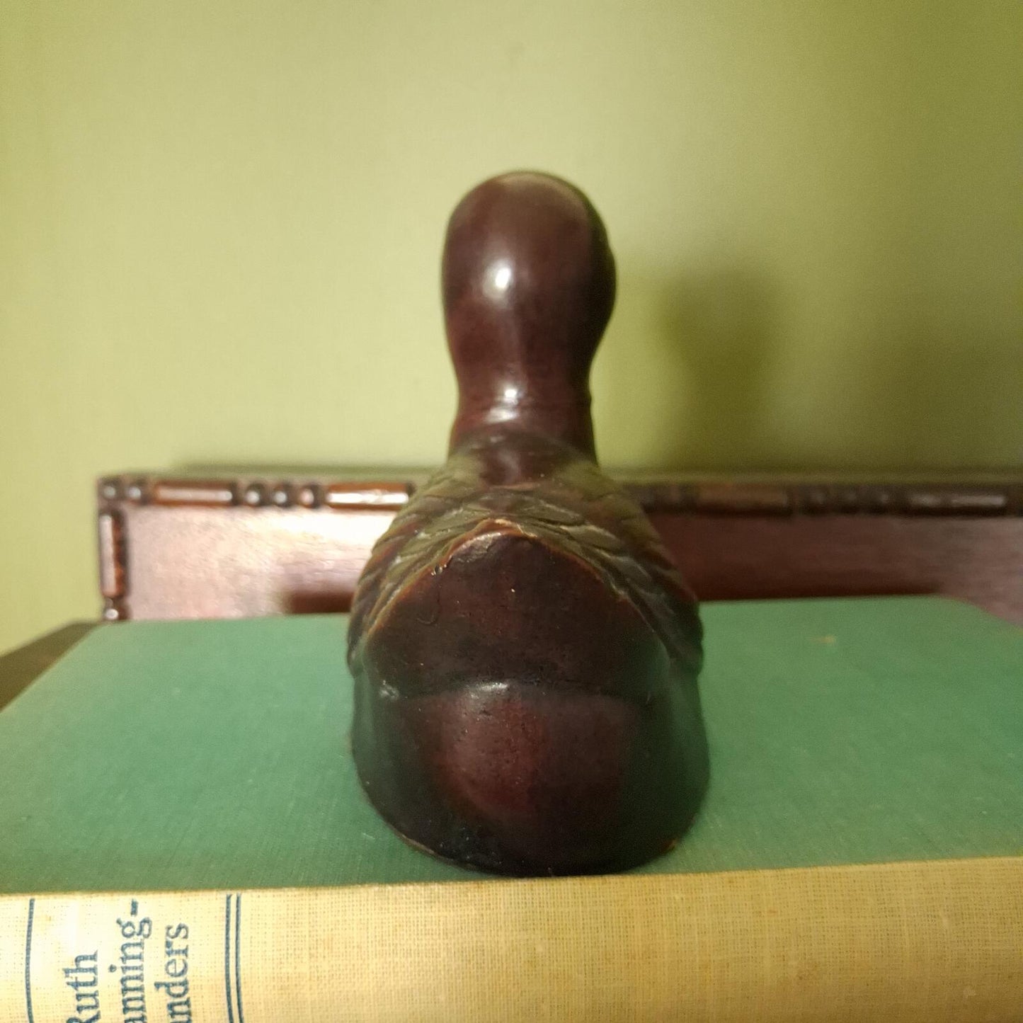 Little brown duck