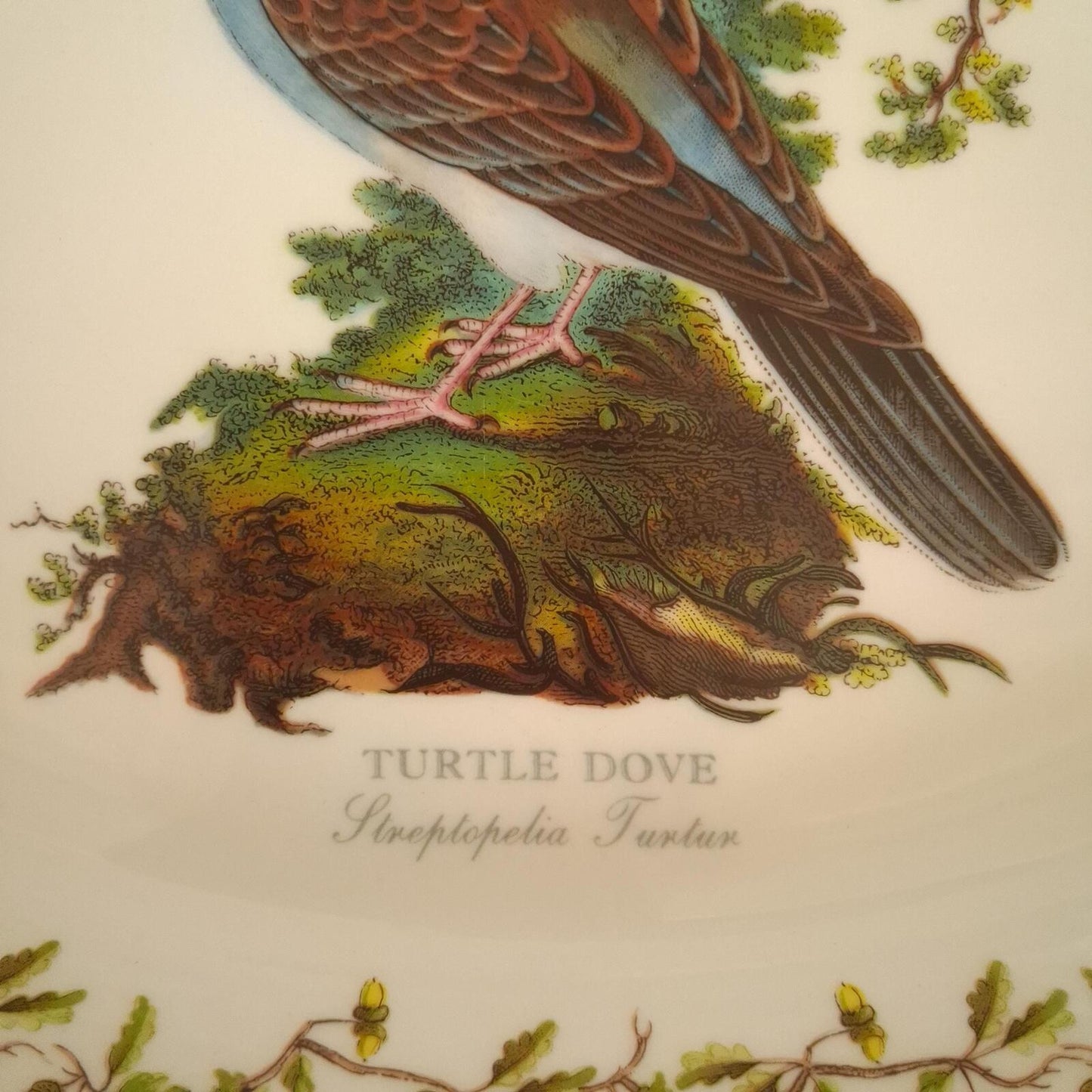 Portmeirion turtle dove oval plate