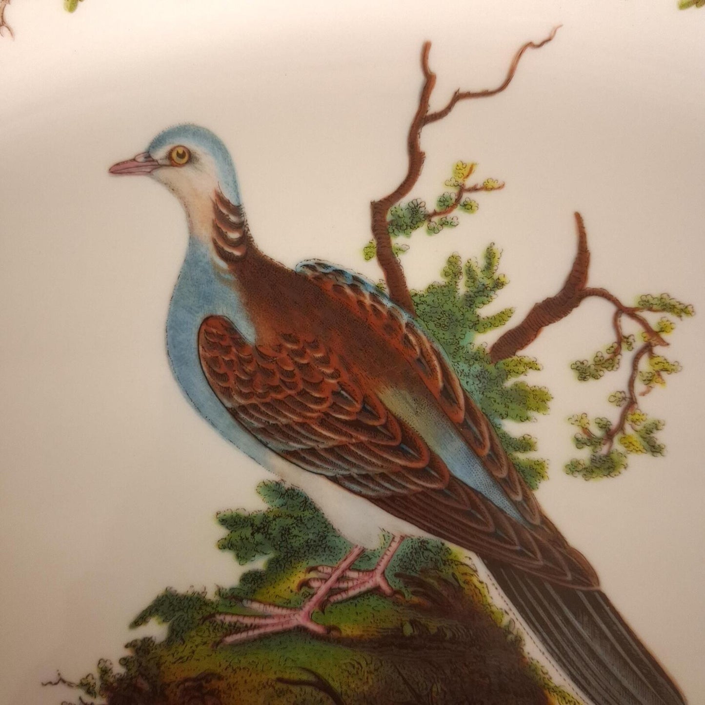 Portmeirion turtle dove oval plate