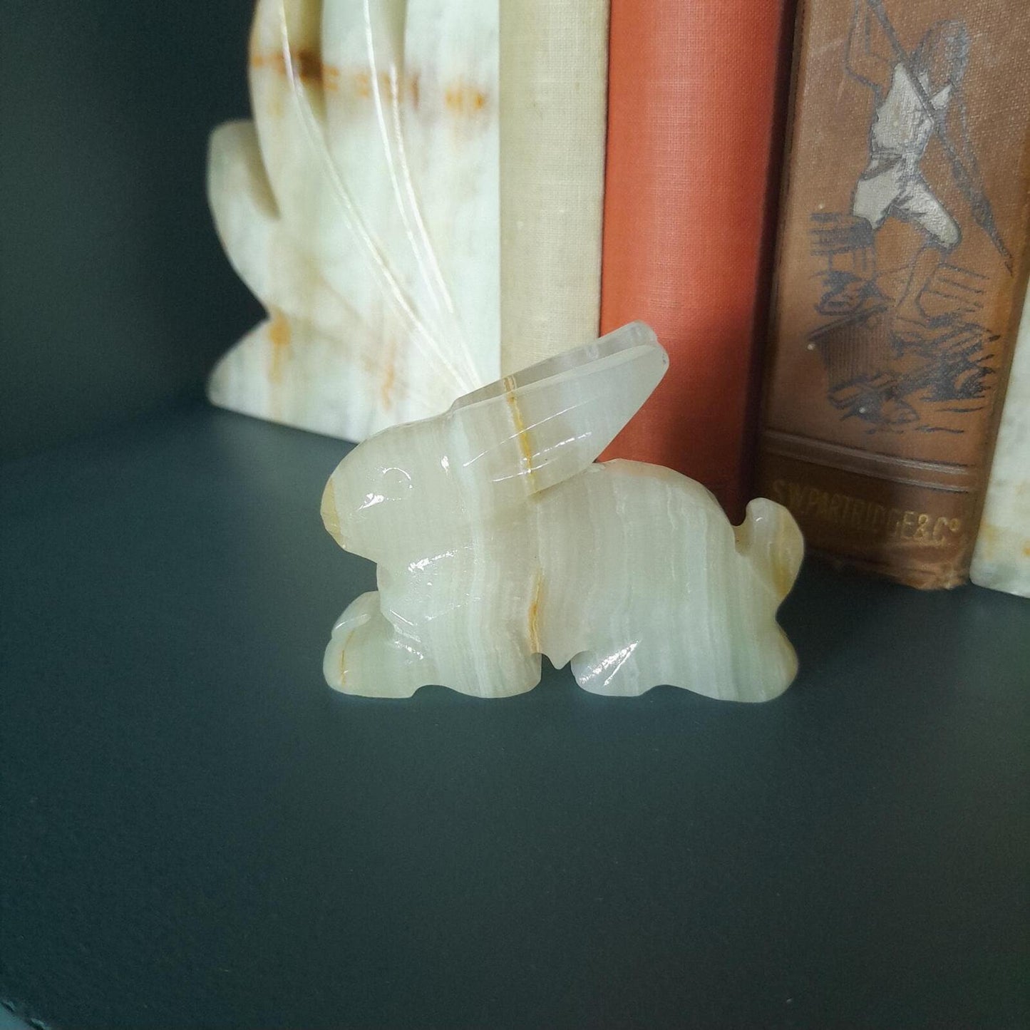 A small onyx rabbit