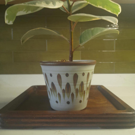 Denby stoneware retro planter