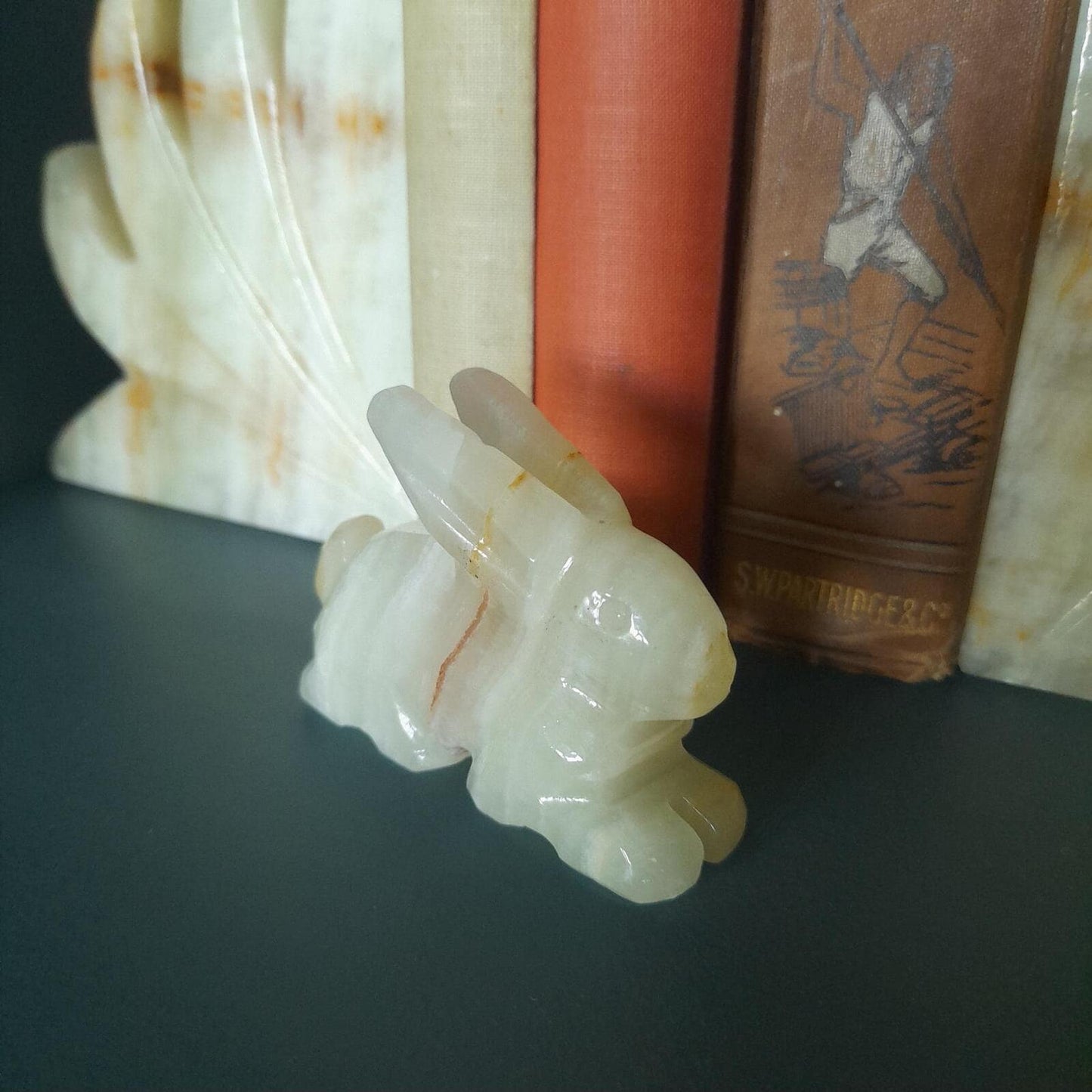 A small onyx rabbit