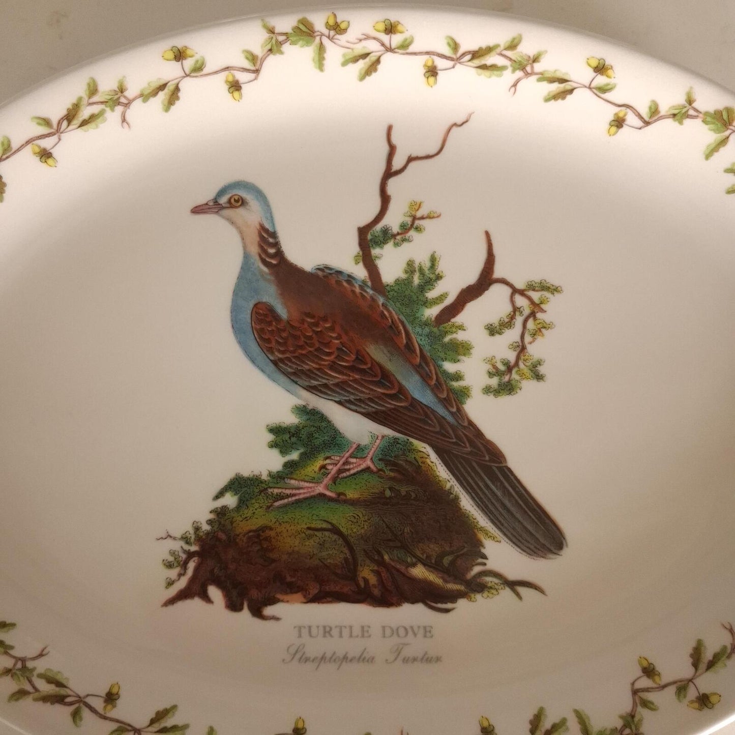 Portmeirion turtle dove oval plate