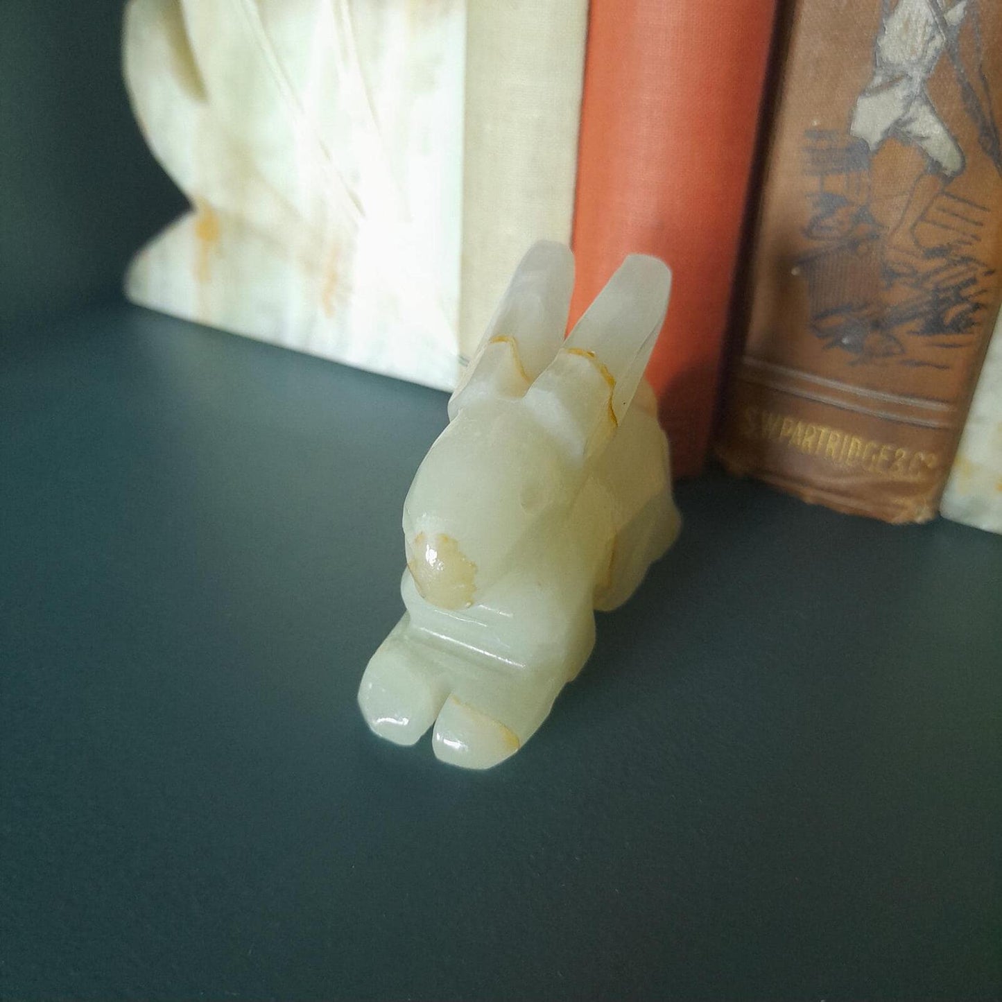 A small onyx rabbit