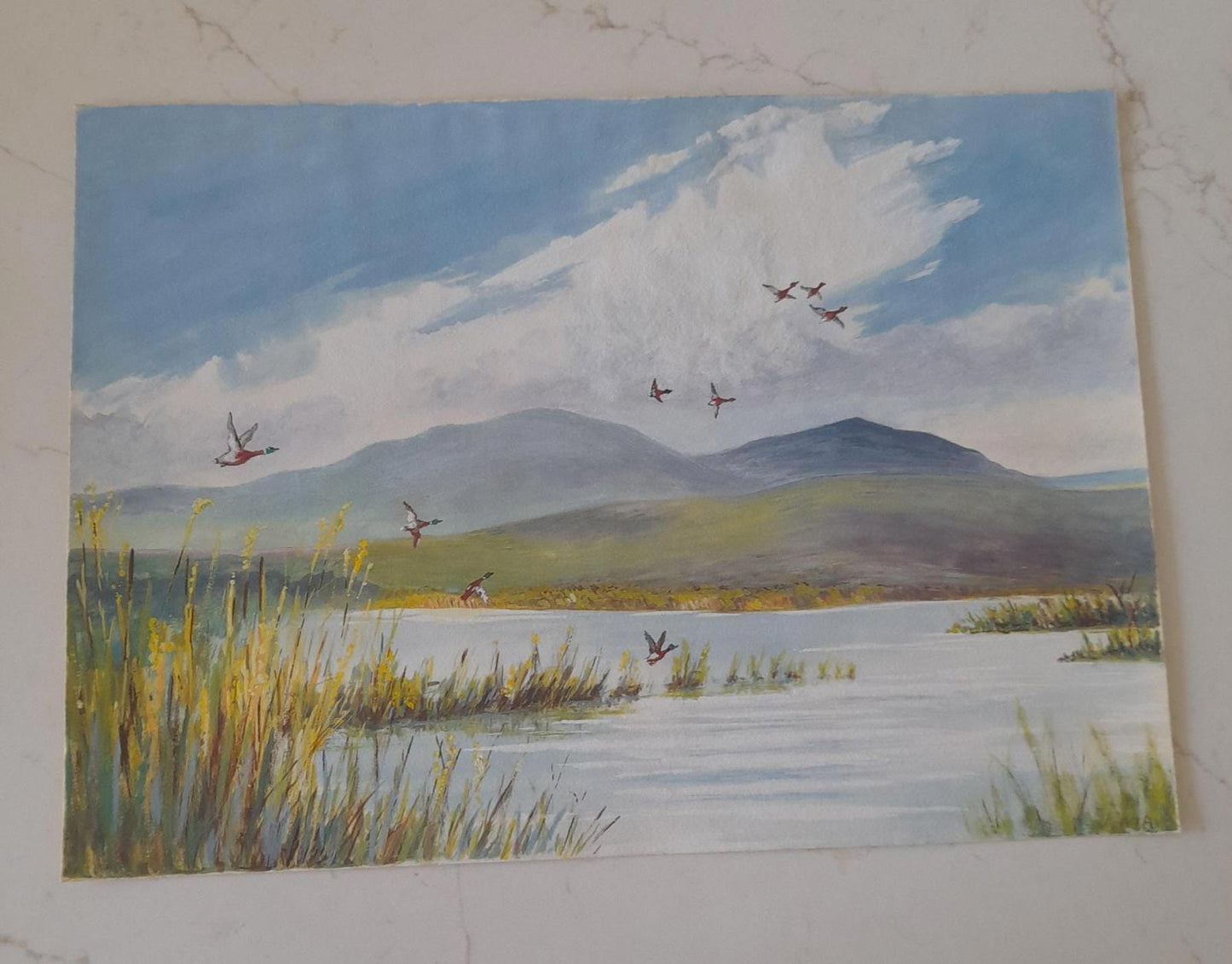 An original painting of mallard ducks in flight by the artist A F Akehurst.