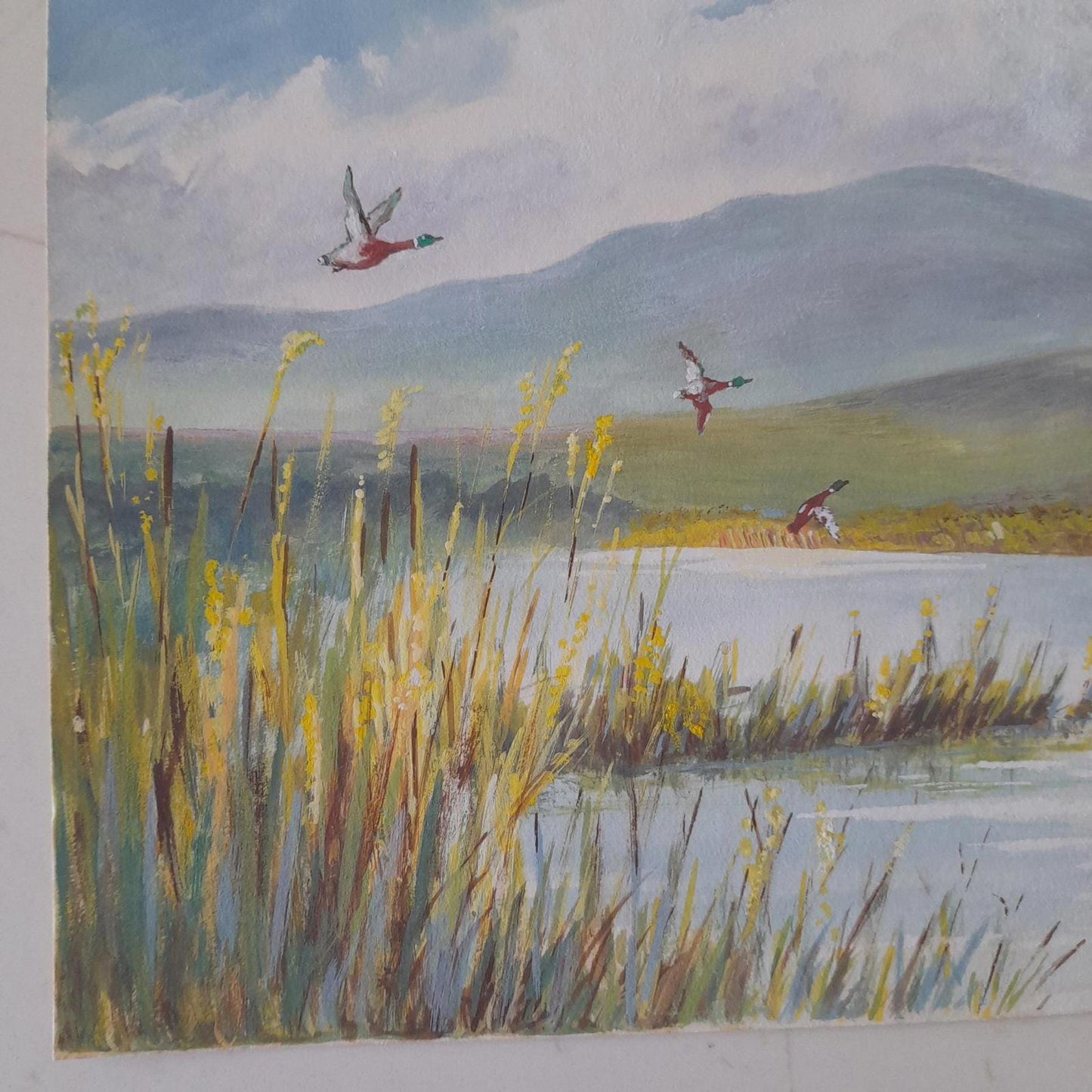 An original painting of mallard ducks in flight by the artist A F Akehurst.