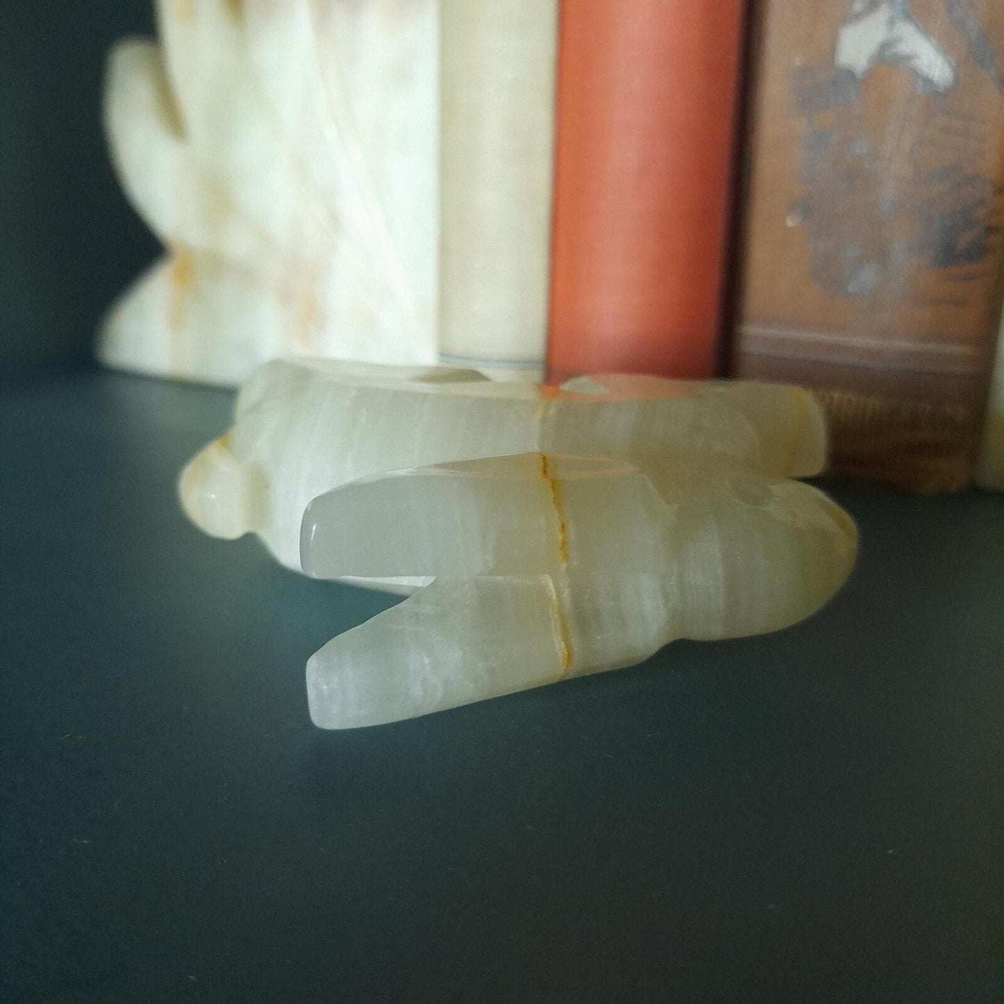 A small onyx rabbit