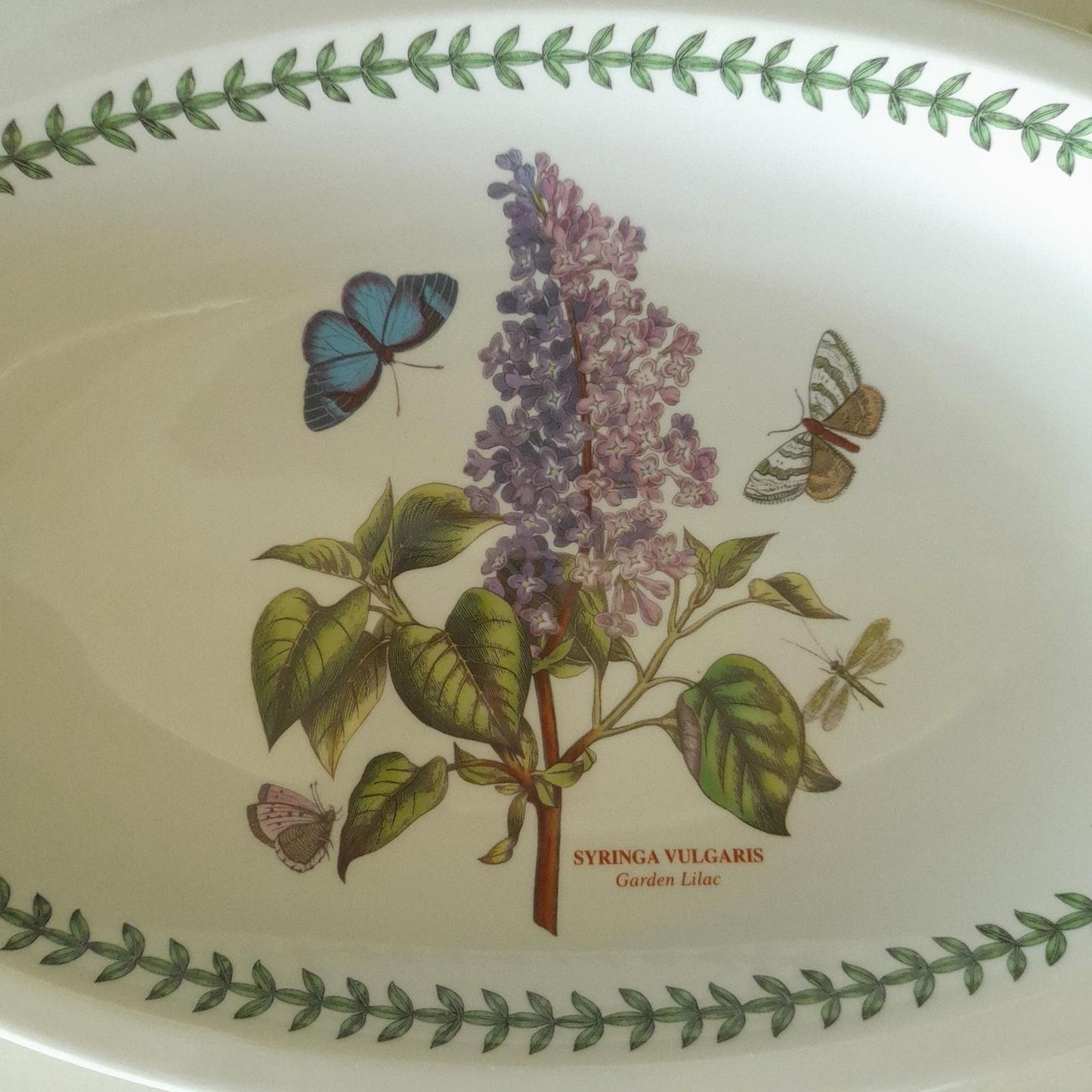 Portmeirion Botanic Garden lilac medium serving platter