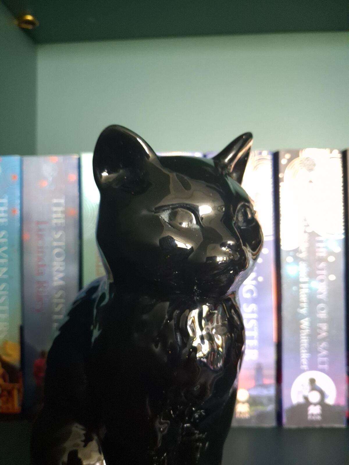 SylvaC 1087 7" Black cat