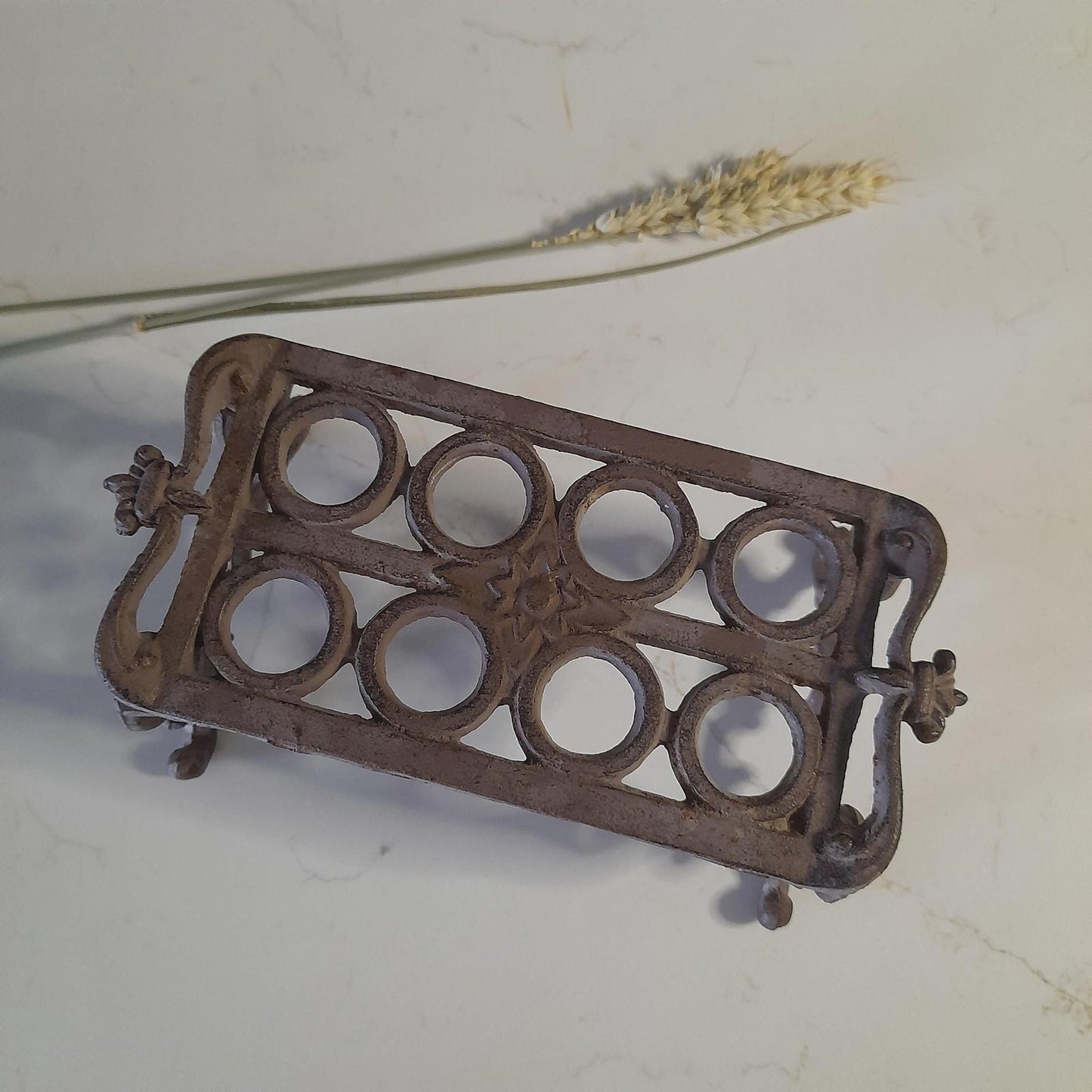 Rustic brown cast iron garden cuttings holder - it will need glass test tubes